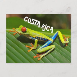 Cartão Postal Foto do sapo de olhos vermelhos na Costa Rica