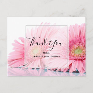 Cartão Postal Foto Elegante Rosa Gerbera Daisies Obrigado