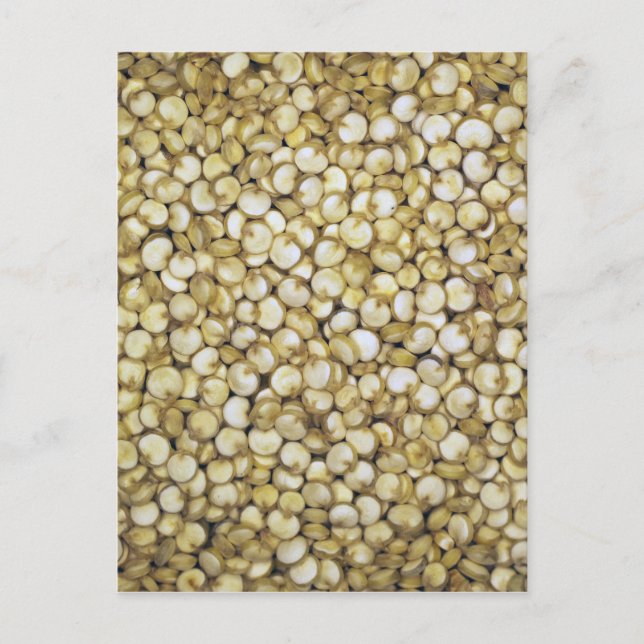 Cartão Postal Foto macro de grãos de Quinoa (Frente)