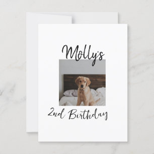 Cartão Postal Foto moderna de aniversário de um gato de cão