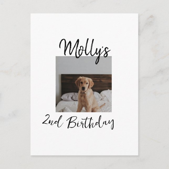 Cartão Postal Foto moderna de aniversário de um gato de cão (Frente)