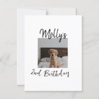 Foto moderna simples de aniversário de animal de e