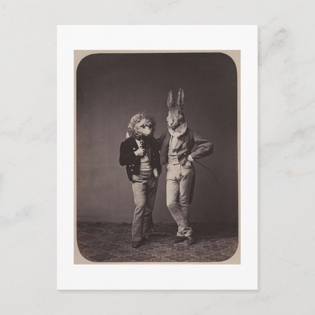 Cartão Postal Foto original de fantasia de halloween 900s (Frente)