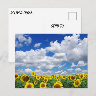 Cartão Postal Foto Personalizada Customizada 