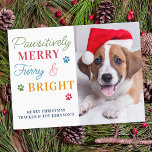 Cartão Postal Foto personalizada de Pet forry de Feliz pawsitiva<br><div class="desc">Apresentando os cartões de natal perfeitos para amantes de animais de estimação - "Feliz pawsitivamente, Furry & Bright"! Estas cartas são perfeitas para quem quer celebrar a época festiva com os seus familiares furiosos. As cartas têm um design bonitinho e moderno, completo com estampas de pata, e vêm em várias...</div>
