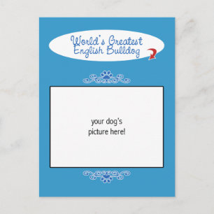 Cartão Postal Foto personalizada! Maior Bulldog Inglês do Mundo