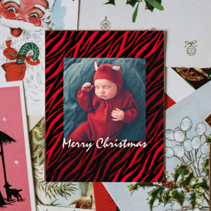 Cartão Postal Foto personalizada moderna - Natal da Zebra Vermel