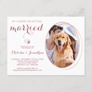Cartão Postal Foto Pet Orçamento Personalizar Rosa de Casamento