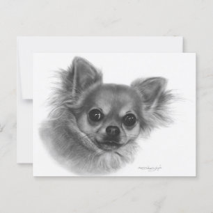 Cartão Postal Foto Pintada à Mão, Chihuahua Gaze Pet