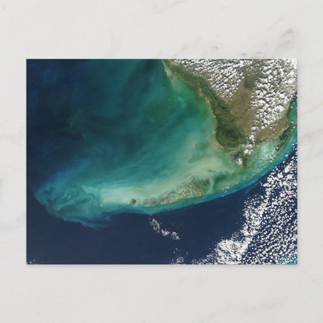 Cartão Postal Foto por satélite das Florida Keys (Frente)