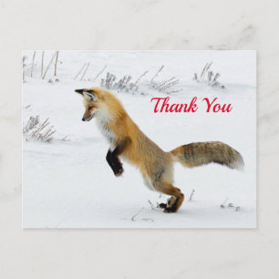 Cartão Postal Foto Raposa Saltando na Neve Obrigado