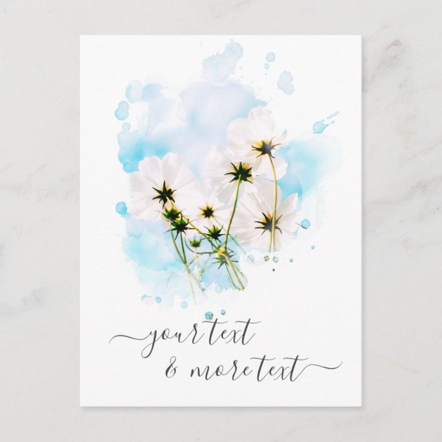 Cartão Postal *~* Foto SKY Flores Rosa FLORAL AR15 (Frente)