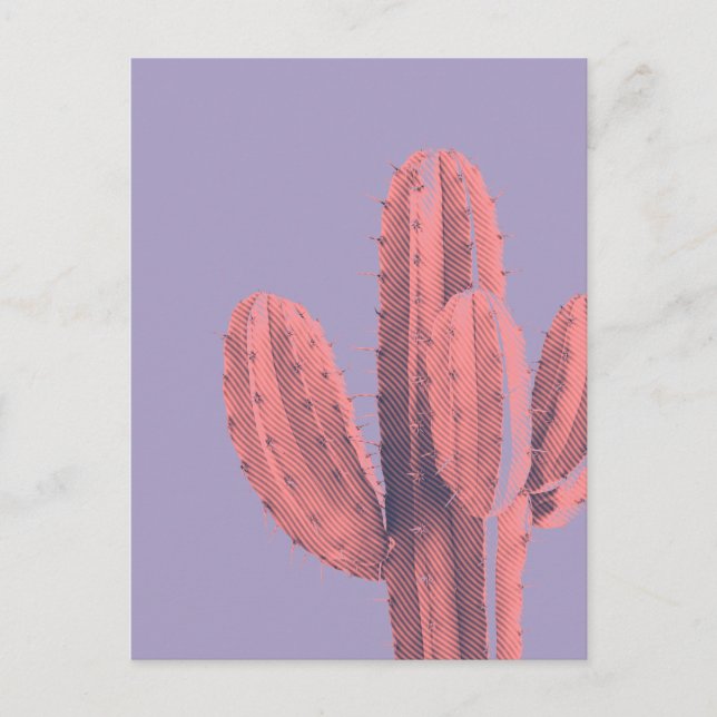 Cartão Postal Foto Suculenta De Cactus Puro, Neon Rosa Brilhante (Frente)