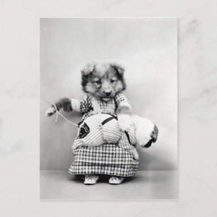 Cartão Postal Foto vintage chien