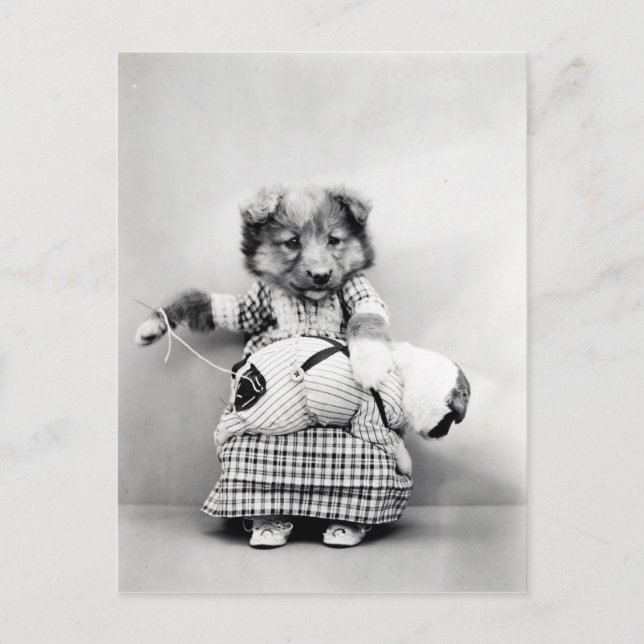 Cartão Postal Foto vintage chien (Frente)