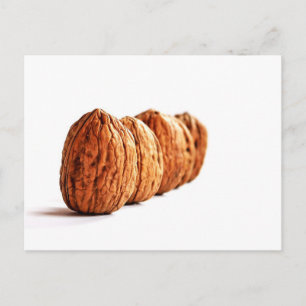 Cartão Postal Foto Walnut em White