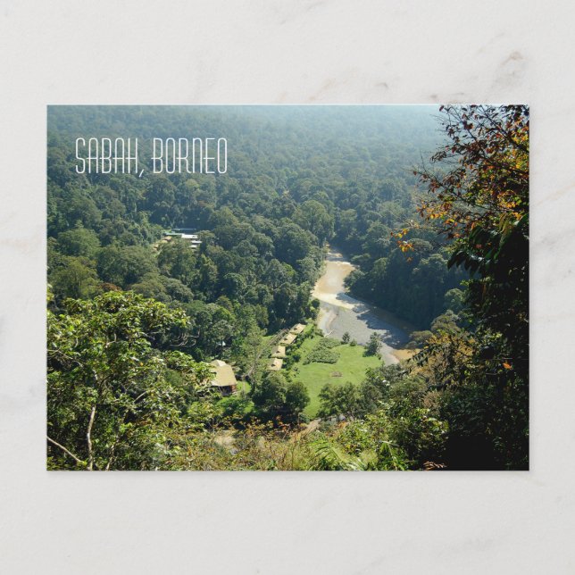 Cartão Postal Fotografia aérea da floresta tropical de Borneo (Frente)