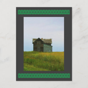 Cartão Postal Fotografia antiga do Homestead Saskatchewan