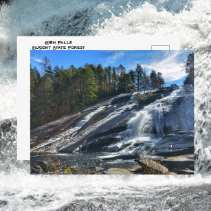 Cartão Postal Fotografia da Floresta Estadual DuPont High Falls