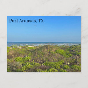 Cartão Postal Fotografia da grama da praia de Port Aransas Texas