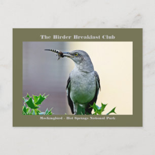 Cartão Postal Fotografia da Natureza Carta de Passarinho Sabiá-i