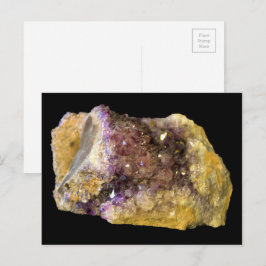 Cartão Postal Fotografia da natureza do roxo roxo Ametist