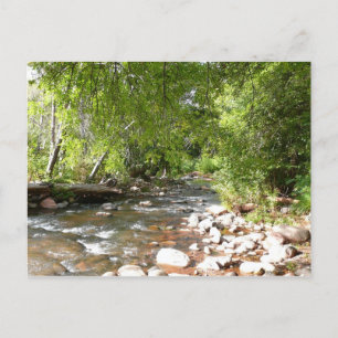 Cartão Postal Fotografia da Natureza Oak Creek II em Sedona Ariz