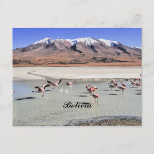 Cartão Postal fotografia da paisagem da Bolívia com flamingos