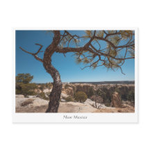 Fotografia da Paisagem do Novo México