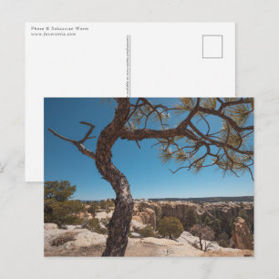 Cartão Postal Fotografia da Paisagem do Novo México