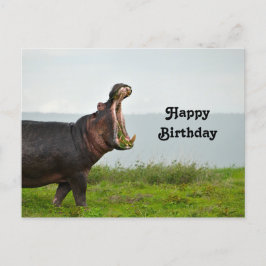 Cartão Postal Fotografia de Aniversário de Hipopótamo Selvagem