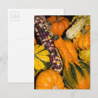 Cartão Postal Fotografia de Comida de Gours e Corno