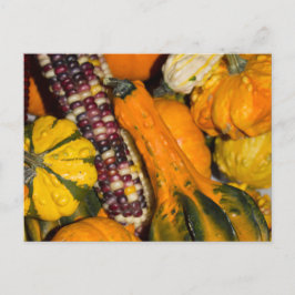 Cartão Postal Fotografia de comida de outono com cabaças e milho