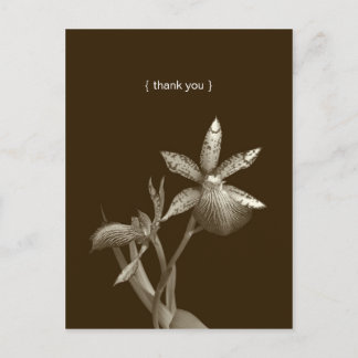 Cartão Postal Fotografia de flor de orquídea personalizada agrad