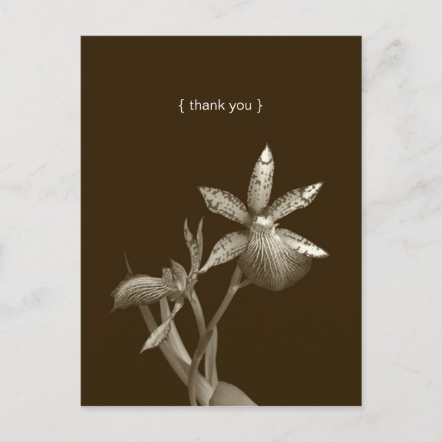 Cartão Postal Fotografia de flor de orquídea personalizada agrad (Frente)