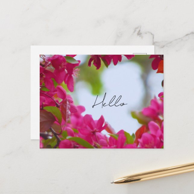 Cartão Postal Fotografia de Flores de Primavera (Frente/Verso In Situ)