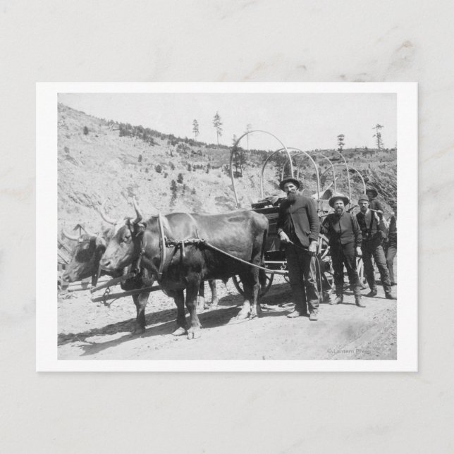 Cartão Postal Fotografia de Grupo de Prospectores Dourados (Frente)