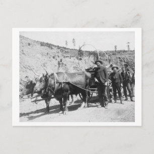 Cartão Postal Fotografia de Grupo de Prospectores Dourados