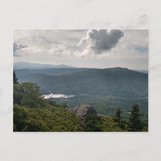 Cartão Postal Fotografia de Paisagem Florestal no Cartão-Postal  (Frente)