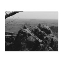 Fotografia de Paisagem Florestal no Cartão-Postal 