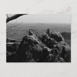 Cartão Postal Fotografia de Paisagem Florestal no Cartão-Postal 