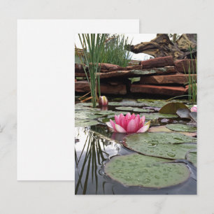 Cartão Postal Fotografia de reflexos de nenúfares cor-de-rosa