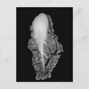 Cartão Postal Fotografia do Retrato de Lixo Napa