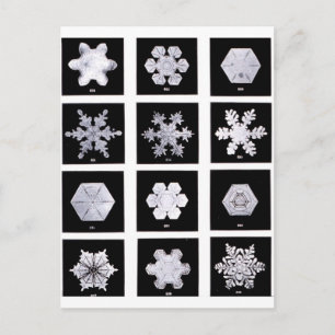 Cartão Postal Fotografia do tempo Snowflake Plates