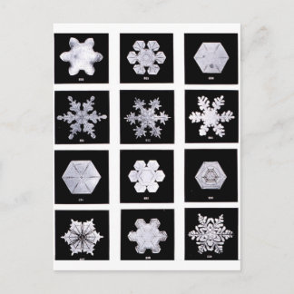 Cartão Postal Fotografia do tempo Snowflake Plates