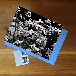 Cartão Postal Fotografia Floral Preto e Branco Flores da Primave