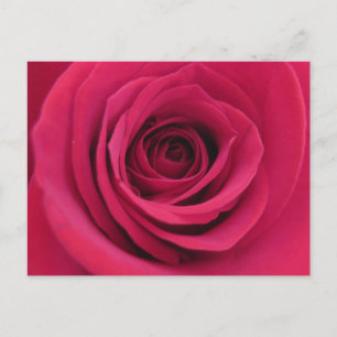 Cartão Postal Fotografia Macro Floral Original Rosa Vermelha