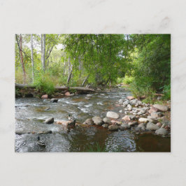 Cartão Postal Fotografia natural de Oak Creek e Mallard Patos