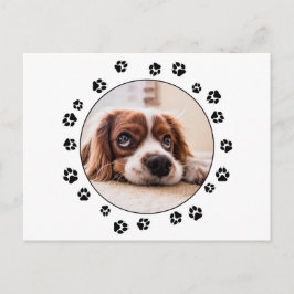 Cartão Postal Fotografia Puppy Black Pawprint