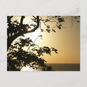 Cartão Postal Fotografia Tropical II através do Sol